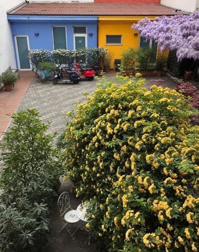 Il Girasole