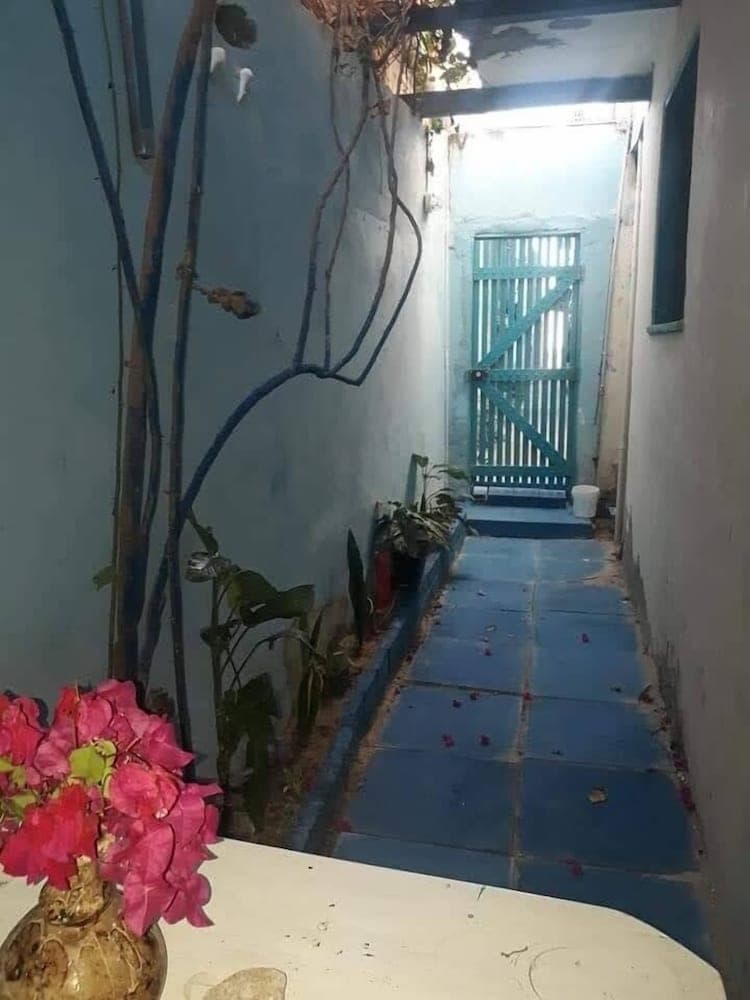 A serene alleyway with blue-tiled flooring, climbing vines, and vibrant bougainvillea flowers creates an inviting atmosphere ideal for exploring local neighborhoods during a leisurely travel adventure.