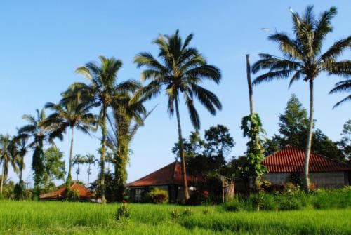 Sanda Butik Villas 