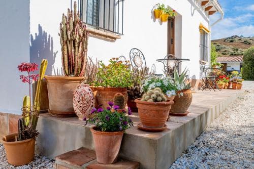 Finca El Limonar