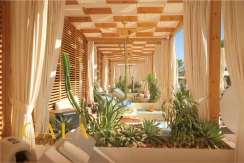 Dan Eilat