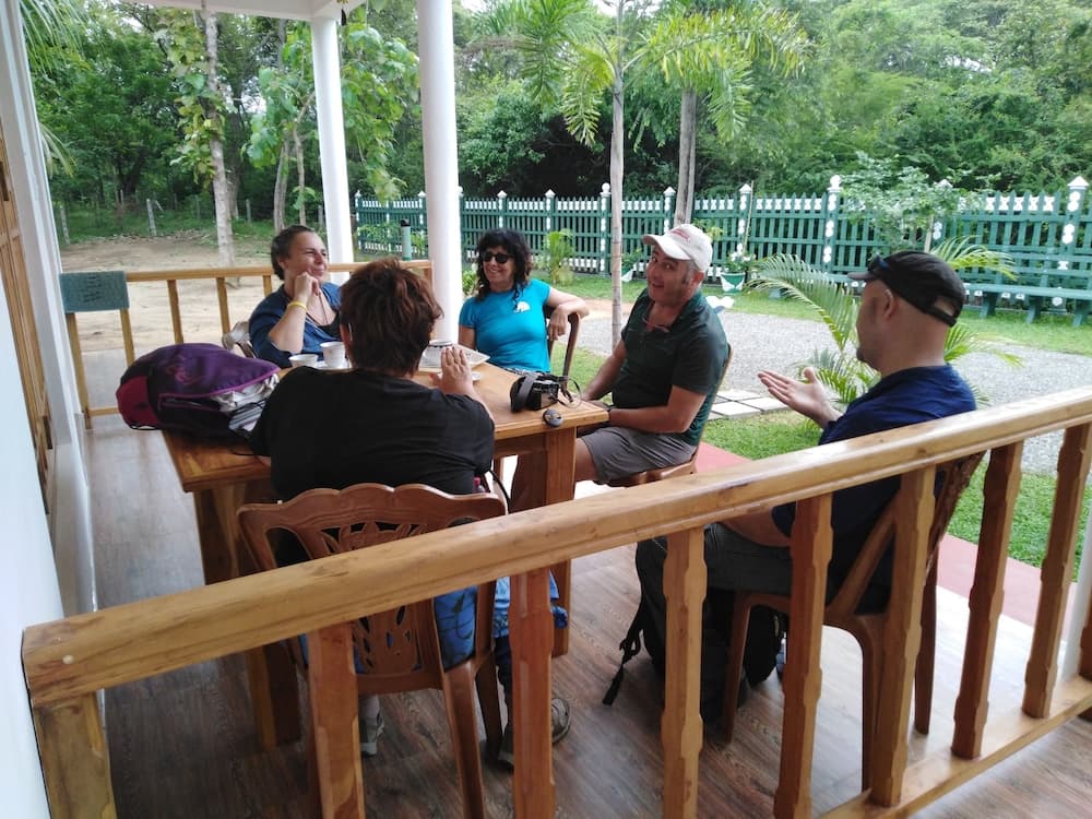 Jungle View Guest