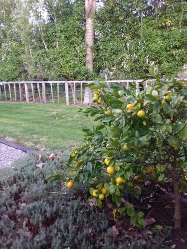 Karapiro Willows Luxury B & B