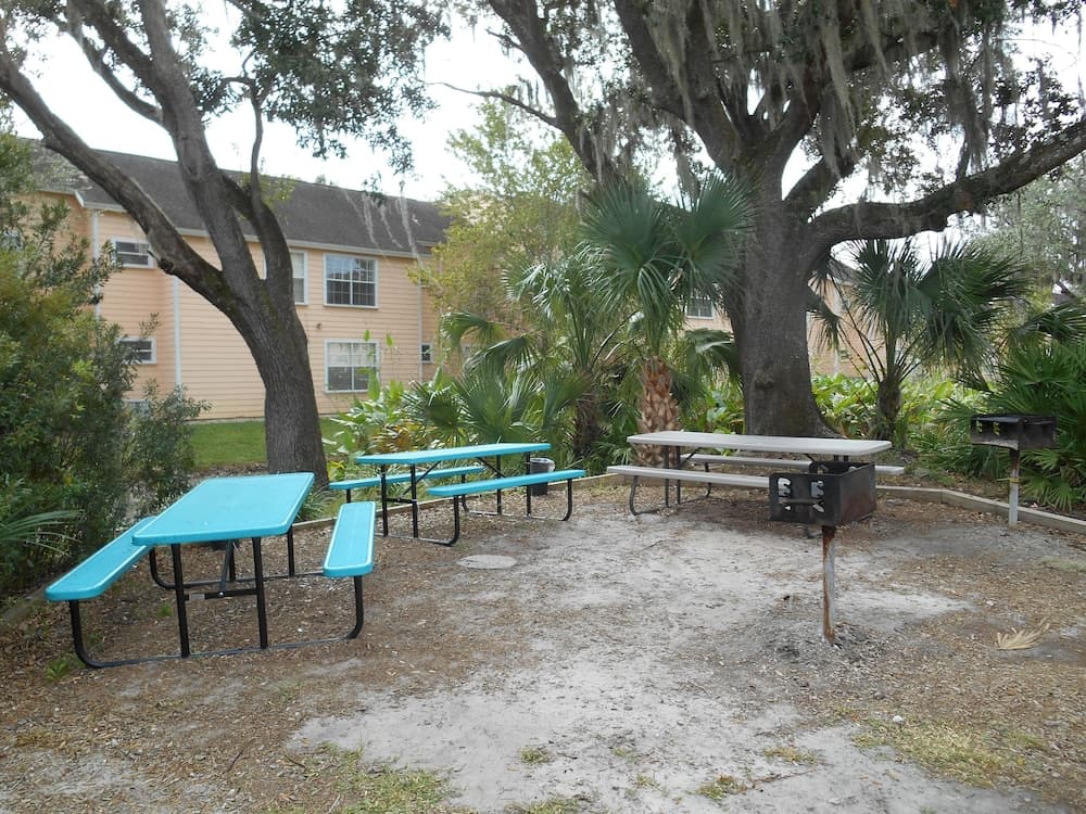 Mickey s Paradise