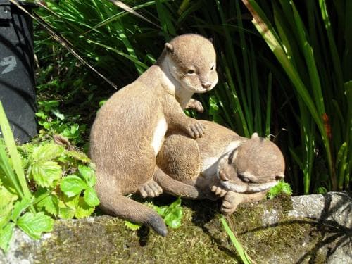 Glenotter