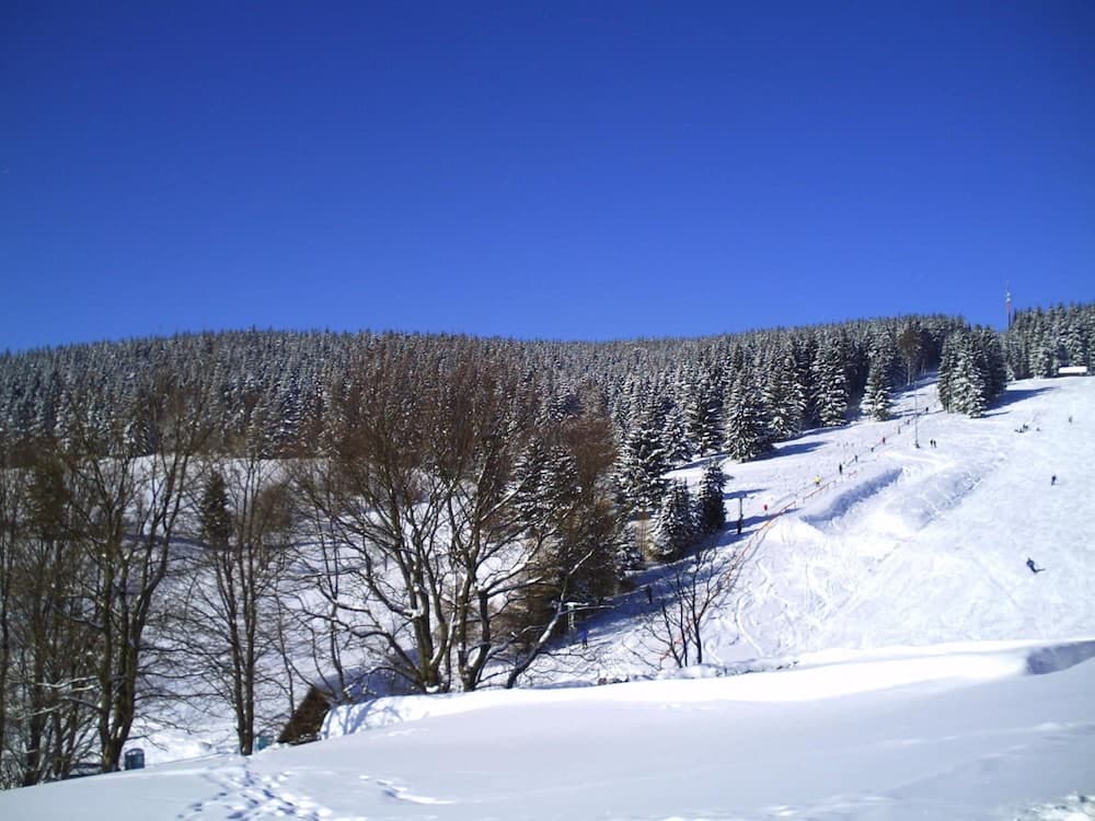 Rennsteighotel Grüner Baum