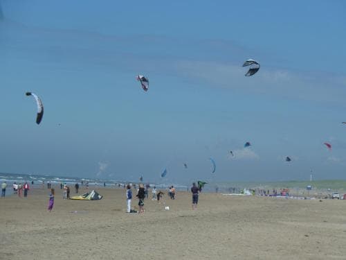 De Witte Raaf Holiday Rentals