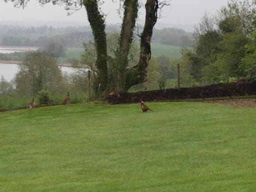Willowbank House