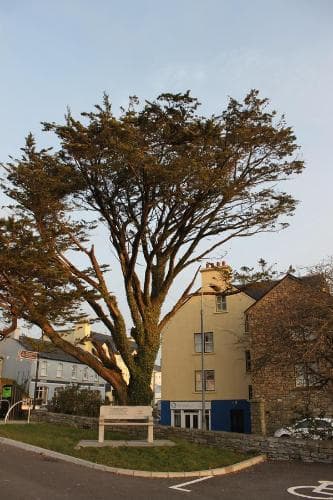 Bogbean Cafe and B&B