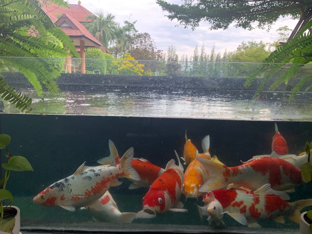 Ruen Sam Ran Resort