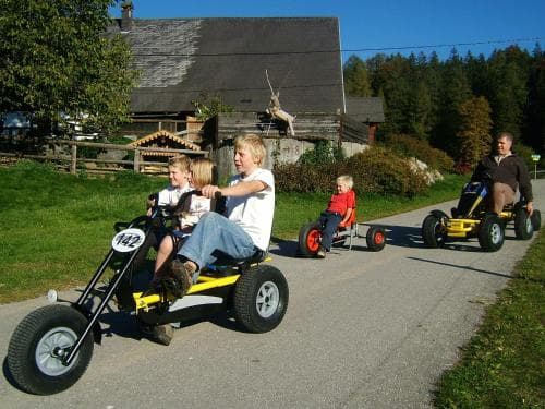 A family enjoys a sunny day racing pedal karts on a rural road near a quaint wooden barn, perfect for a fun-filled countryside adventure.