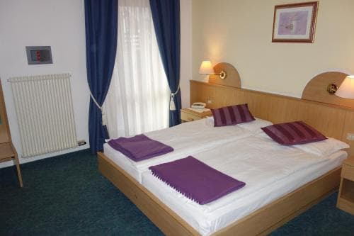 Alpine Touring Hotel