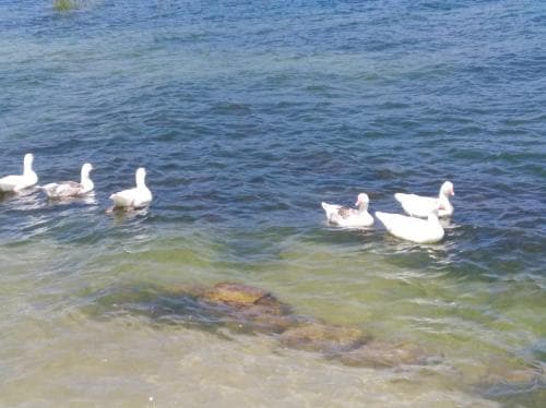 Arco Iris Del Lago