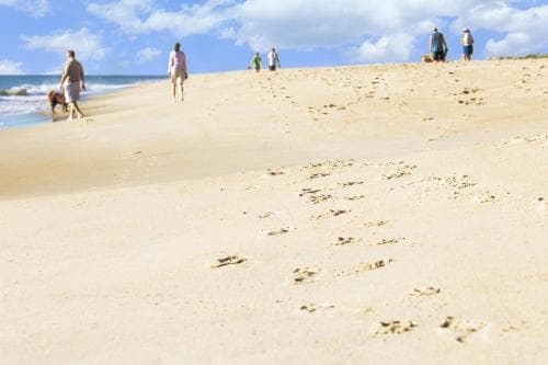 Hyatt Place Dewey Beach