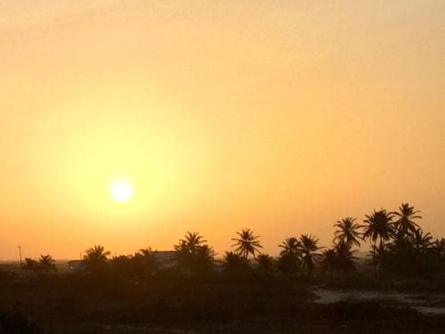 A serene sunset casts a golden glow over a tranquil beach lined with palm trees, ideal for relaxation and capturing picturesque moments during a coastal getaway.