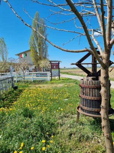 B&B Antico Pioppo