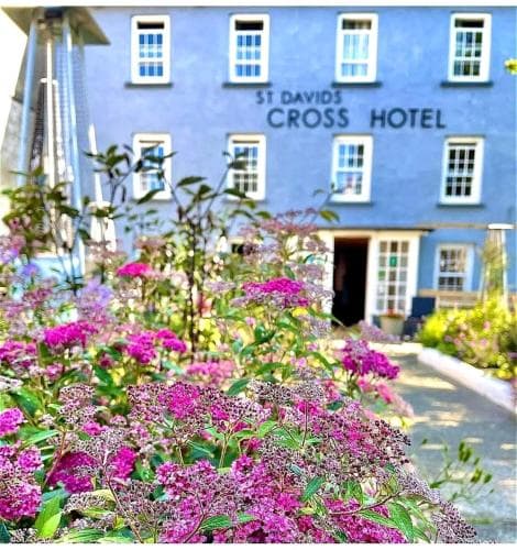 A charming blue hotel with white-framed windows is nestled amidst vibrant pink flowers, creating an inviting and picturesque scene ideal for travelers seeking a cozy retreat.