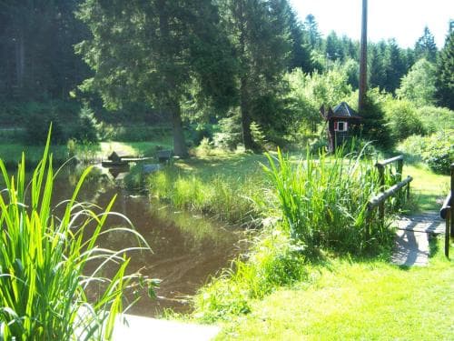Chalet Des 2 Etangs