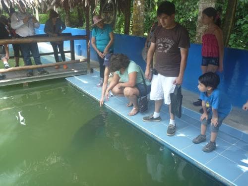Hospedaje Las Amazonas