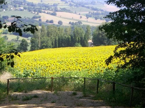 Le Corone