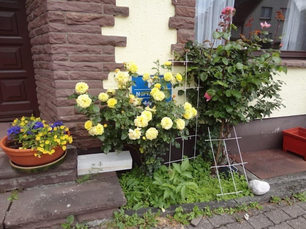 Mongolischer Hof