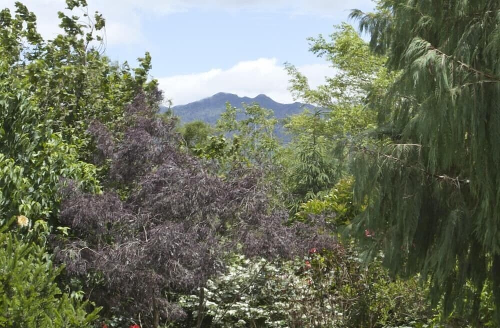 Highgate Bed And Breakfast