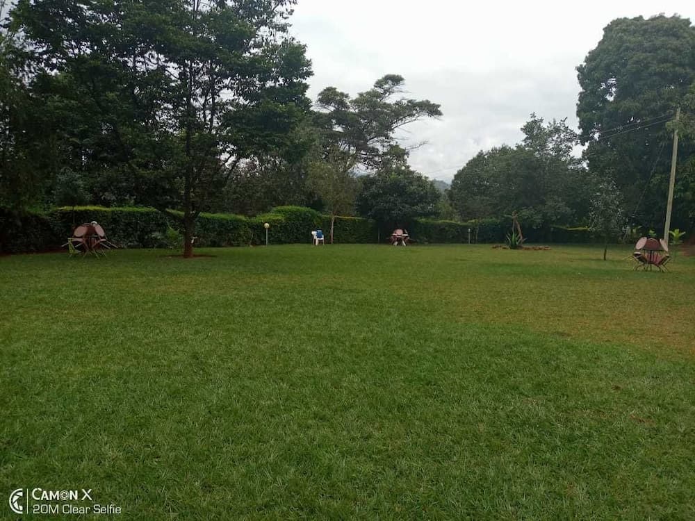 Kilimo Talii