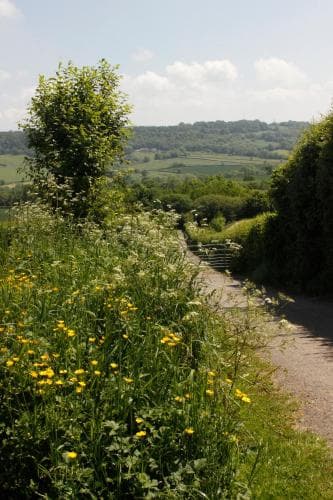 Odle Farm