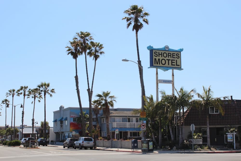 A sunny coastal street lined with palm trees features the Shores Motel sign, ideal for travelers seeking beachside accommodations in a relaxed, tropical atmosphere.