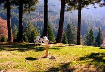 Dunsmuir Lodge