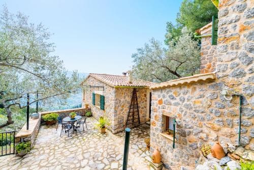 Oliveret Des Puig