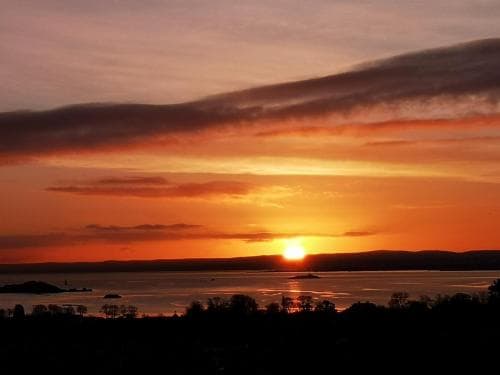 Bay And Bridge