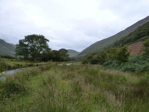 Granar Gynolwyn