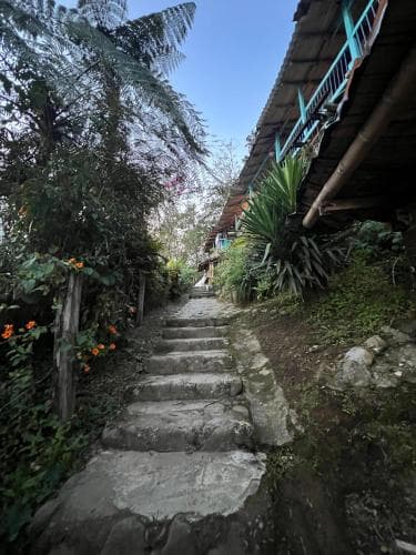 A serene tropical pathway lined with lush greenery and vibrant flowers leads up stone steps to a rustic wooden house, ideal for eco-tourism and adventure seekers exploring off-the-beaten-path destinations.