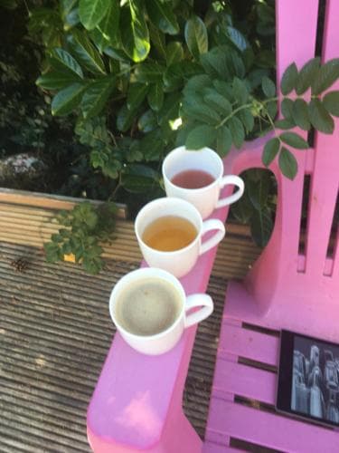 Pension Villa Harmonie