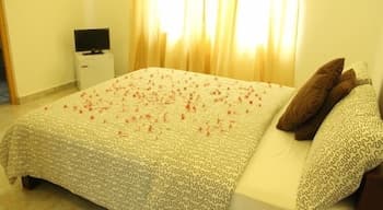Roxana Holiday Inn
