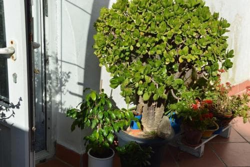 B&B Spiraglio