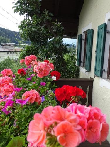 Pension Rainhof