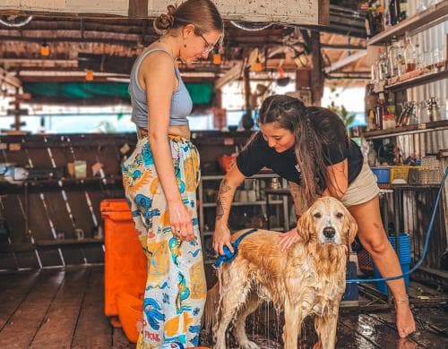 Yellow Sun Hostel