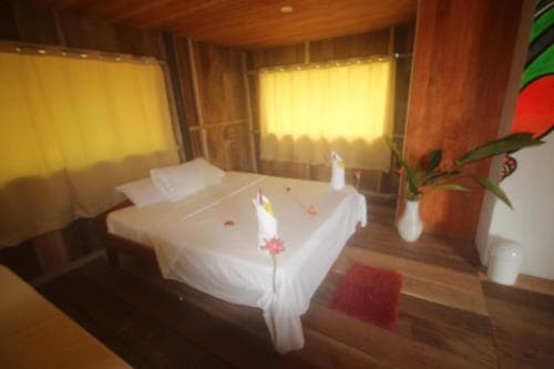 Amazon Rainforest Lodge