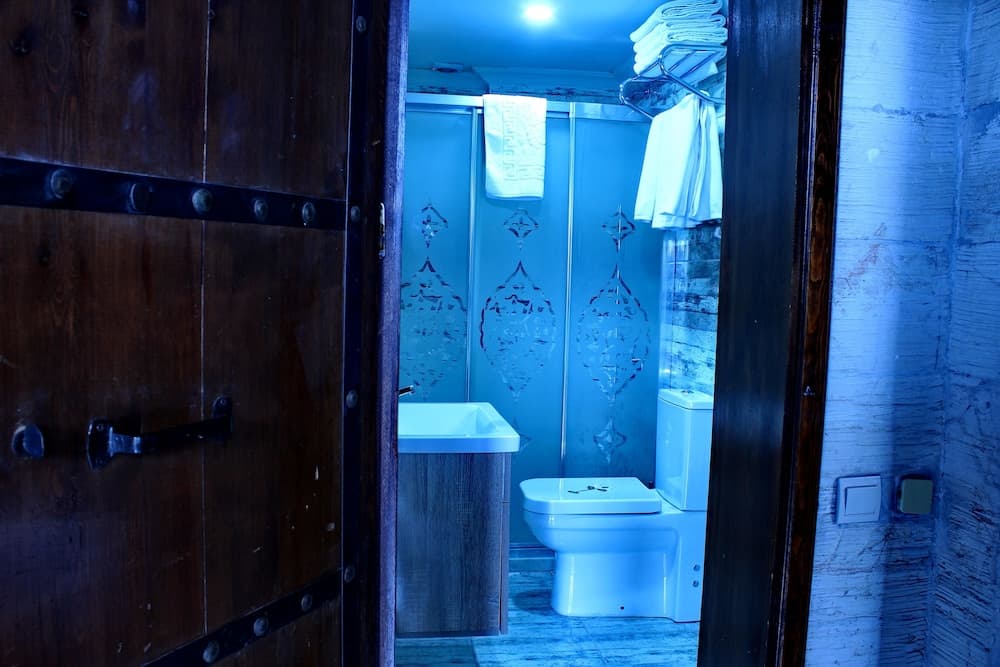 A serene bathroom with blue-tinted lighting features a rustic wooden door, modern fixtures, and neatly folded towels, ideal for travelers seeking a tranquil retreat.