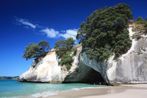 Hot Water Beach B&B