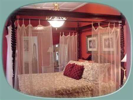 Saragossa B&B Saint Augustine