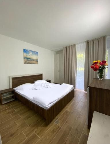 Hotel Rodica