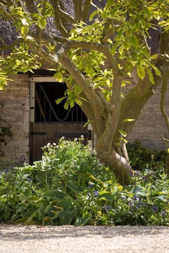 The Old Manor House