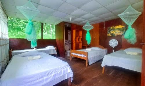 A cozy, rustic lodge room with wooden floors, multiple beds adorned with mosquito nets, large windows framing lush greenery, and a fan, ideal for travelers seeking comfort in a tropical or forested destination.