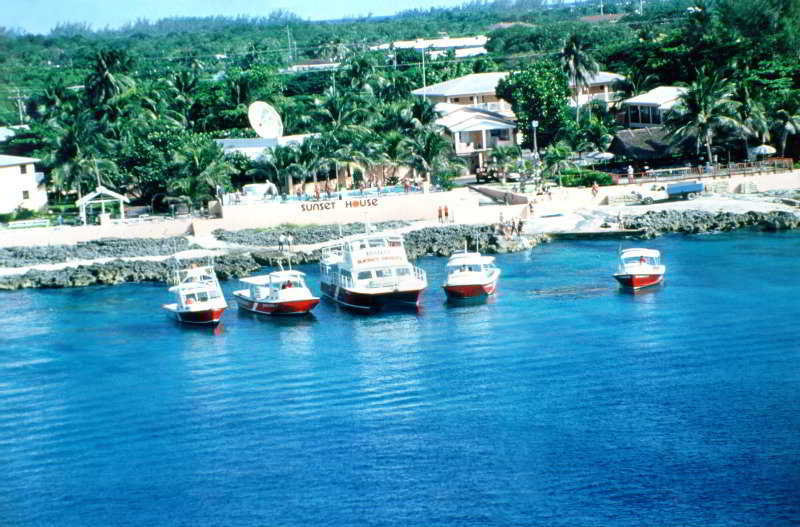 A serene tropical waterfront scene features docked boats against a backdrop of lush palm trees and beachside accommodations, ideal for travelers seeking a relaxing coastal getaway.