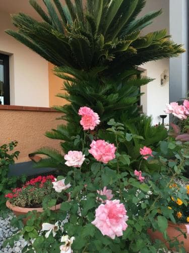 Residence Alithai