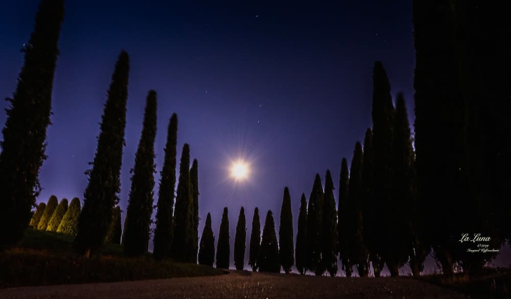 Agriturismo Bonello
