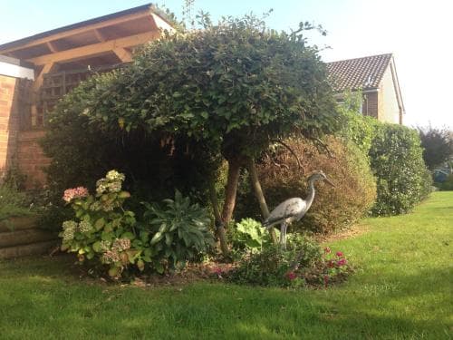 Herons Nest B&B